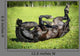 Black Horse Rolls Grass