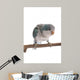Blue Quaker Myiopsitta Monachus Wall Mural