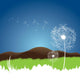 Dandelion Seeds Blowing from Wall Mural