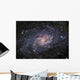 Triangulum Galaxie Wall Decal