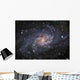 Triangulum Galaxie Wall Decal