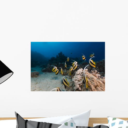 Bannerfish Heniochus Intermedius Wall Mural