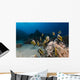 Bannerfish Heniochus Intermedius Wall Mural