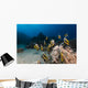 Bannerfish Heniochus Intermedius Wall Mural