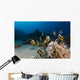 Bannerfish Heniochus Intermedius Wall Mural