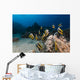 Bannerfish Heniochus Intermedius Wall Mural