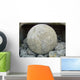 Baggerschaufel Mit Stahlkugel im Wall Decal