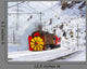 Snowplow Steam