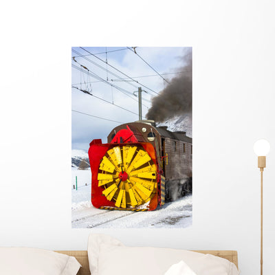 Snowplow Steam shown on a wall