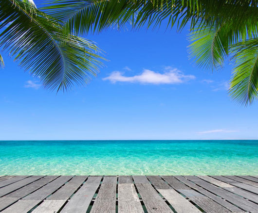 Tropical Sea
