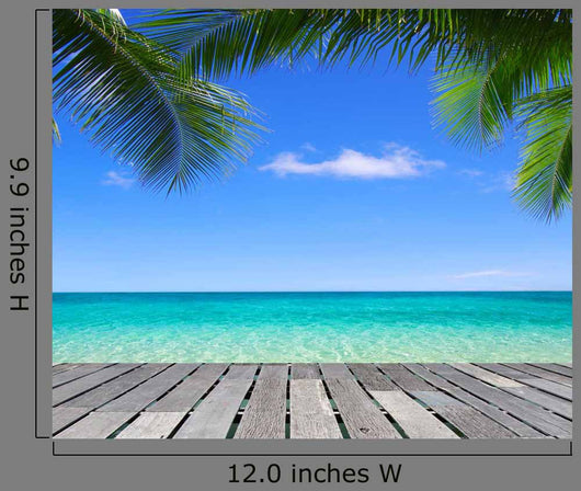 Tropical Sea