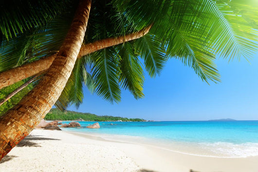 Anse Lazio Beach Praslin
