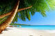 Anse Lazio Beach Praslin