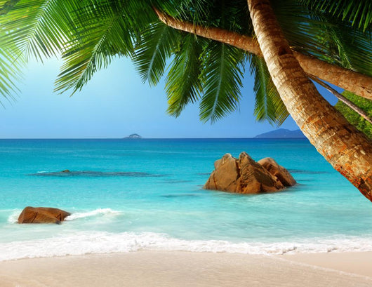 Anse Lazio Beach Praslin