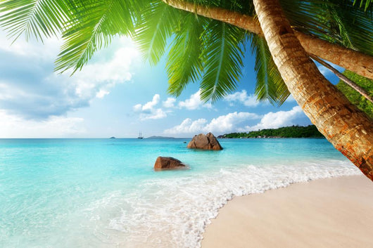 Anse Lazio Beach Praslin