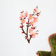 cherry blossom branch abstract background Wall Decal