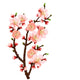 cherry blossom branch abstract background Wall Decal