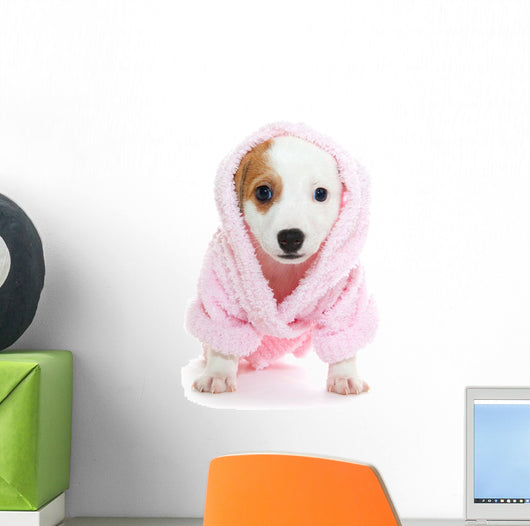 Jack Russell Terrier puppy Wall Decal
