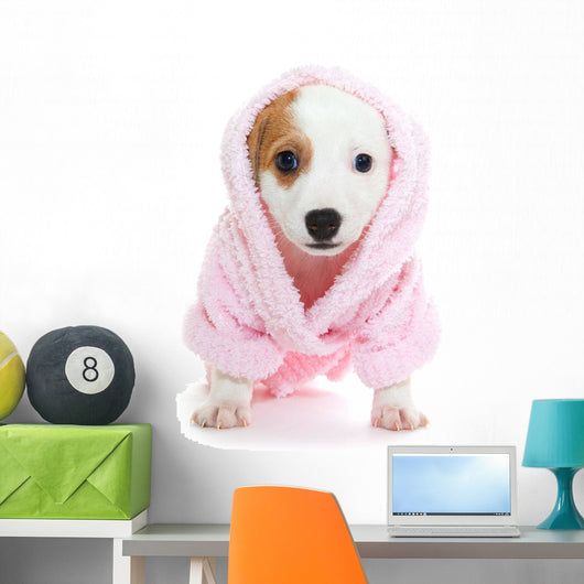 Jack Russell Terrier puppy Wall Decal