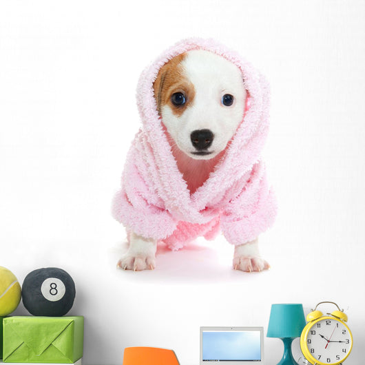 Jack Russell Terrier puppy Wall Decal