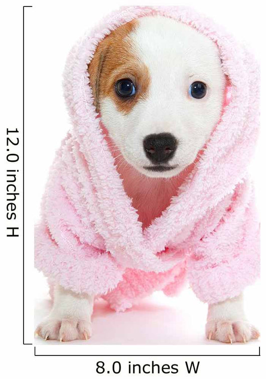 Jack Russell Terrier puppy Wall Decal