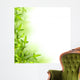 Bamboo and Green Leaves