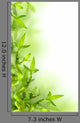 Bamboo and Green Leaves