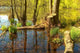 R Gen Insel Wall Decal