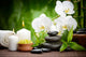 Spa Concept