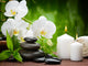 Spa Concept