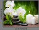 Spa Concept