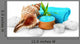 Spa Concept