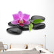 orchid Wall Decal