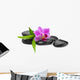 Orchid