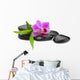 Orchid