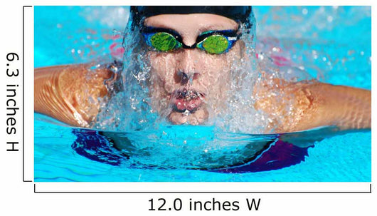 Swim Wall Mural