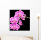 Pink Orchid Black