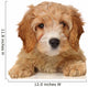 cavapoo puppy Wall Decal