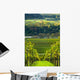 Vineyards and Forest Wall Mural