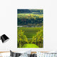 Vineyards and Forest Wall Mural