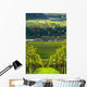 Vineyards and Forest Wall Mural