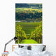 Vineyards and Forest Wall Mural