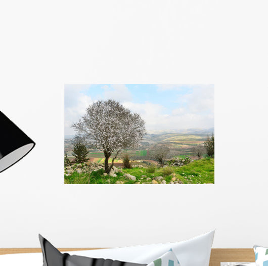 Wild Almond Tree Beautiful