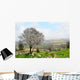 Wild Almond Tree Beautiful
