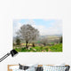 Wild Almond Tree Beautiful