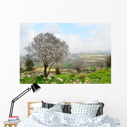 Wild Almond Tree Beautiful