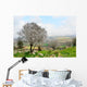 Wild Almond Tree Beautiful