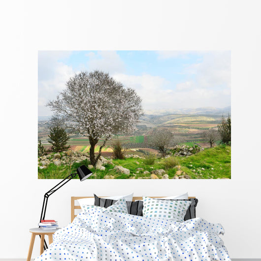 Wild Almond Tree Beautiful