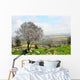 Wild Almond Tree Beautiful