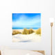 Grass White Sand Dunes